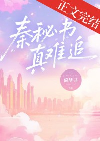 秦秘书真难追 秦秘书真难追